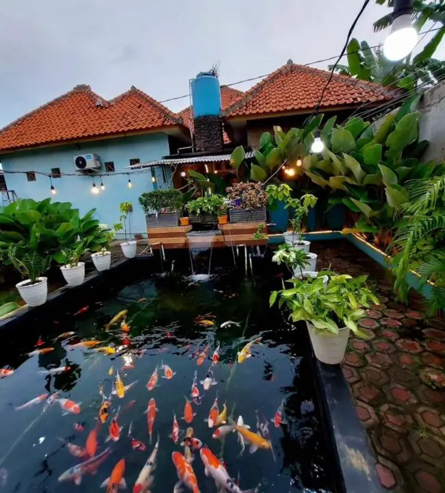 Backyard Koi Pond Illuminated with String Lights