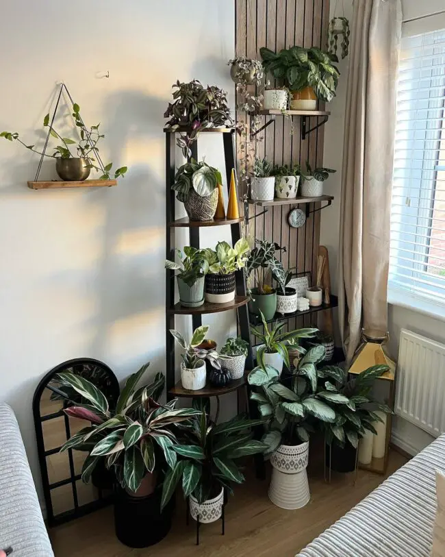 Caring for Indoor Plants: Watering, Lighting, and Seasonal Adjustments