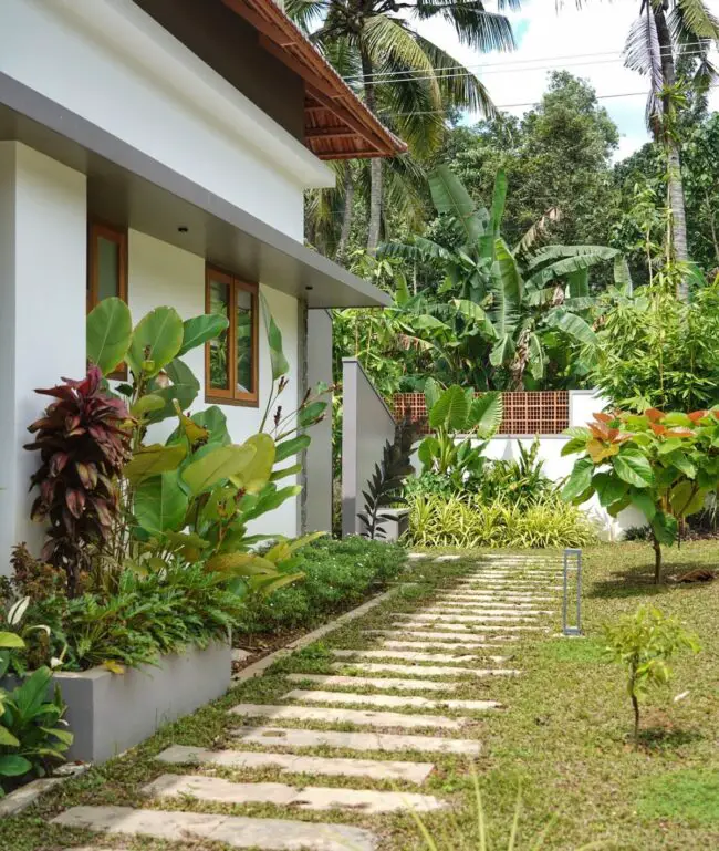 Sleek Tropical Walkway