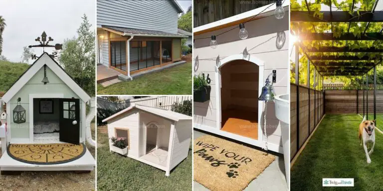 Best Dog Kennel Ideas Outdoor