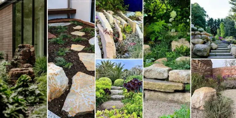 Top Landscaping with Large Rocks Ideas