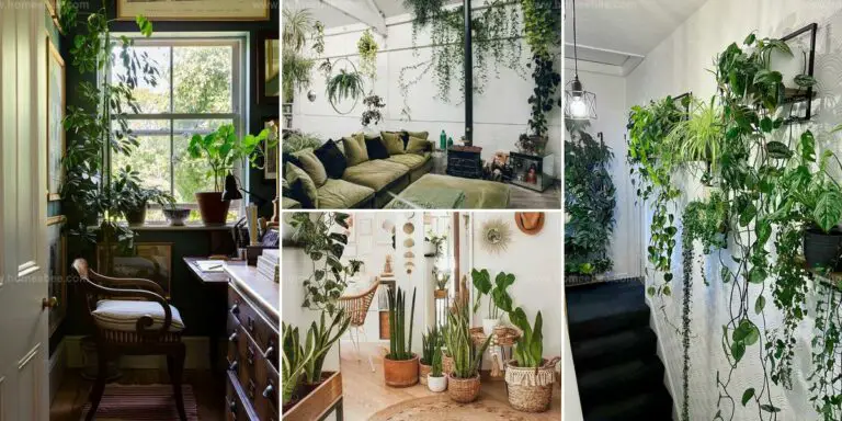 Incorporating Plants into Interior Design