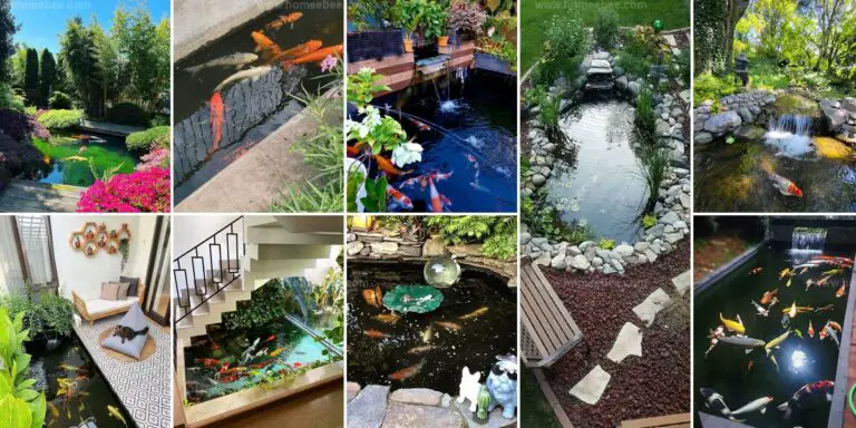 Best Koi Pond Inspirations